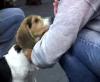 Play Sit.mp4